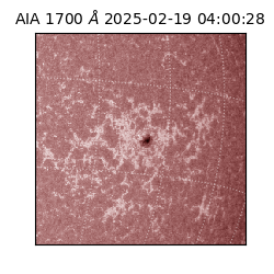 saia - 2025-02-19T04:00:28.720000