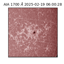 saia - 2025-02-19T06:00:28.717000