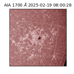 saia - 2025-02-19T08:00:28.717000