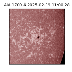 saia - 2025-02-19T11:00:28.717000