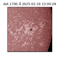 saia - 2025-02-19T13:00:28.729000