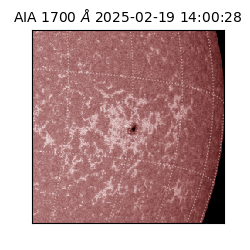 saia - 2025-02-19T14:00:28.717000