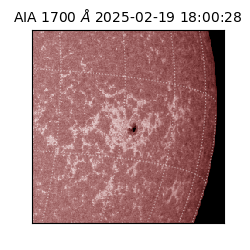 saia - 2025-02-19T18:00:28.717000