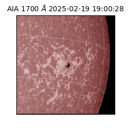 saia - 2025-02-19T19:00:28.717000