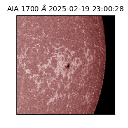 saia - 2025-02-19T23:00:28.717000