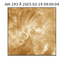 saia - 2025-02-19T09:00:04.843000