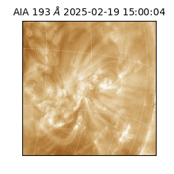 saia - 2025-02-19T15:00:04.843000