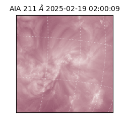 saia - 2025-02-19T02:00:09.632000