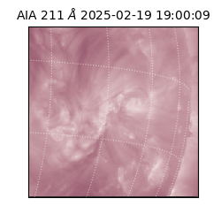 saia - 2025-02-19T19:00:09.632000