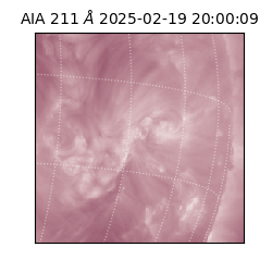 saia - 2025-02-19T20:00:09.630000