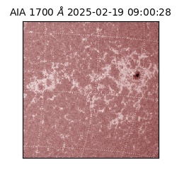 saia - 2025-02-19T09:00:28.717000