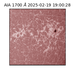 saia - 2025-02-19T19:00:28.717000