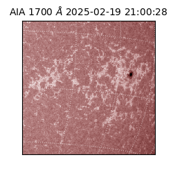 saia - 2025-02-19T21:00:28.717000