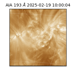 saia - 2025-02-19T10:00:04.843000