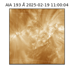 saia - 2025-02-19T11:00:04.843000