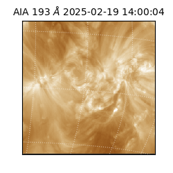 saia - 2025-02-19T14:00:04.843000