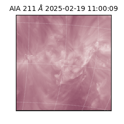 saia - 2025-02-19T11:00:09.626000