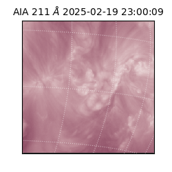 saia - 2025-02-19T23:00:09.626000