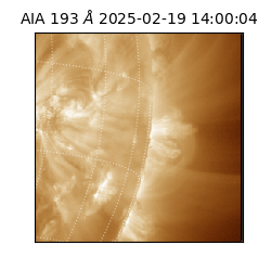 saia - 2025-02-19T14:00:04.843000