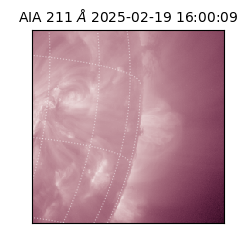 saia - 2025-02-19T16:00:09.633000