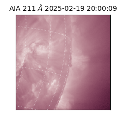 saia - 2025-02-19T20:00:09.630000