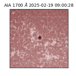 saia - 2025-02-19T09:00:28.717000