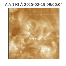 saia - 2025-02-19T09:00:04.843000