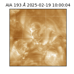 saia - 2025-02-19T10:00:04.843000