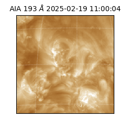 saia - 2025-02-19T11:00:04.843000