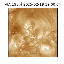 saia - 2025-02-19T19:00:04.846000