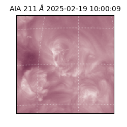 saia - 2025-02-19T10:00:09.630000