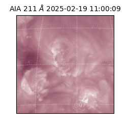 saia - 2025-02-19T11:00:09.626000