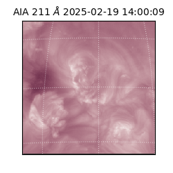 saia - 2025-02-19T14:00:09.626000