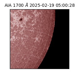 saia - 2025-02-19T05:00:28.717000