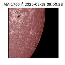 saia - 2025-02-19T09:00:28.717000