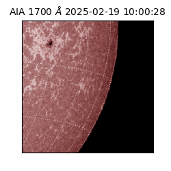 saia - 2025-02-19T10:00:28.717000