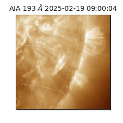 saia - 2025-02-19T09:00:04.843000