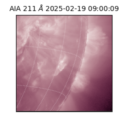 saia - 2025-02-19T09:00:09.629000