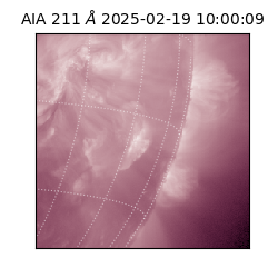 saia - 2025-02-19T10:00:09.630000