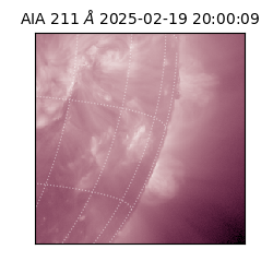 saia - 2025-02-19T20:00:09.630000