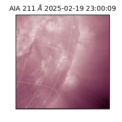 saia - 2025-02-19T23:00:09.626000