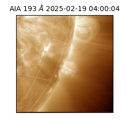 saia - 2025-02-19T04:00:04.843000