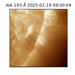 saia - 2025-02-19T09:00:04.843000