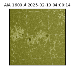 saia - 2025-02-19T04:00:14.126000