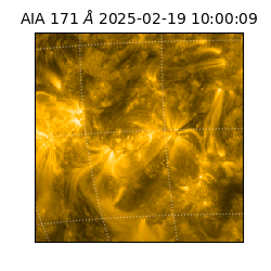 saia - 2025-02-19T10:00:09.350000