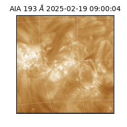 saia - 2025-02-19T09:00:04.843000