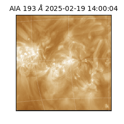 saia - 2025-02-19T14:00:04.843000