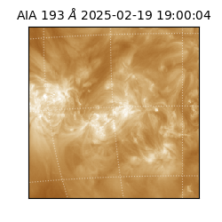 saia - 2025-02-19T19:00:04.846000