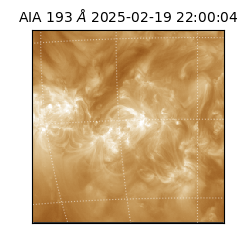 saia - 2025-02-19T22:00:04.843000