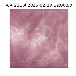 saia - 2025-02-19T12:00:09.630000